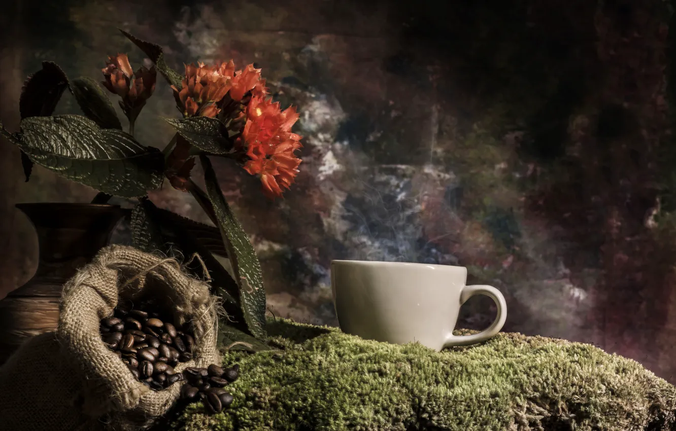 Фото обои цветок, кофе, мох, кружка, ваза, мешок, зёрна