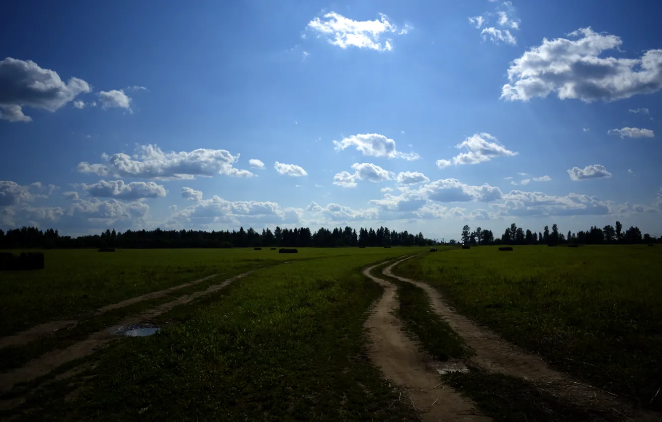 Фото обои поле, лес, небо, облака, природа, голубое, Дорога, деревня, сено