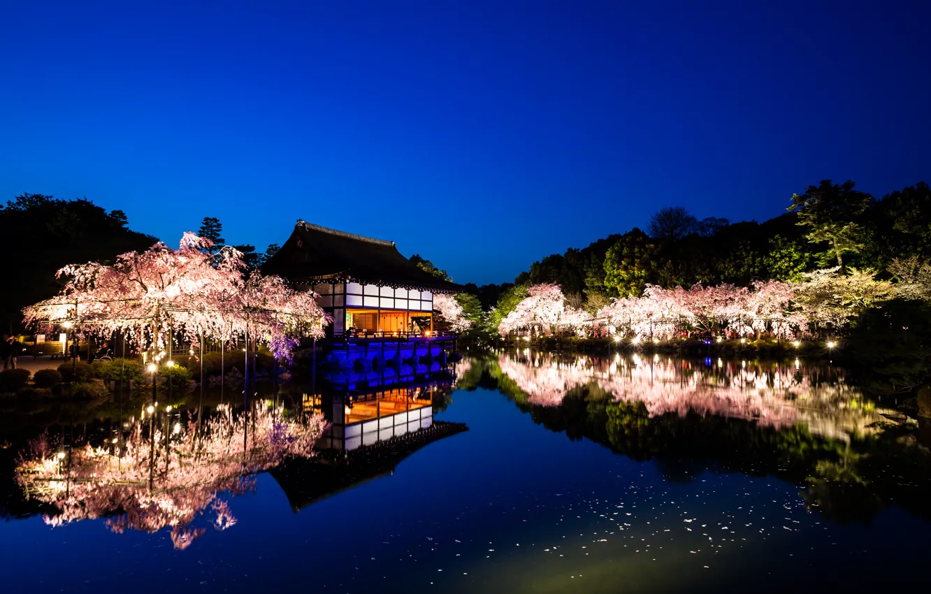 Фото обои вода, деревья, пейзаж, природа, отражение, вечер, Япония, сакура, Киото, сады, Храм Хэйан