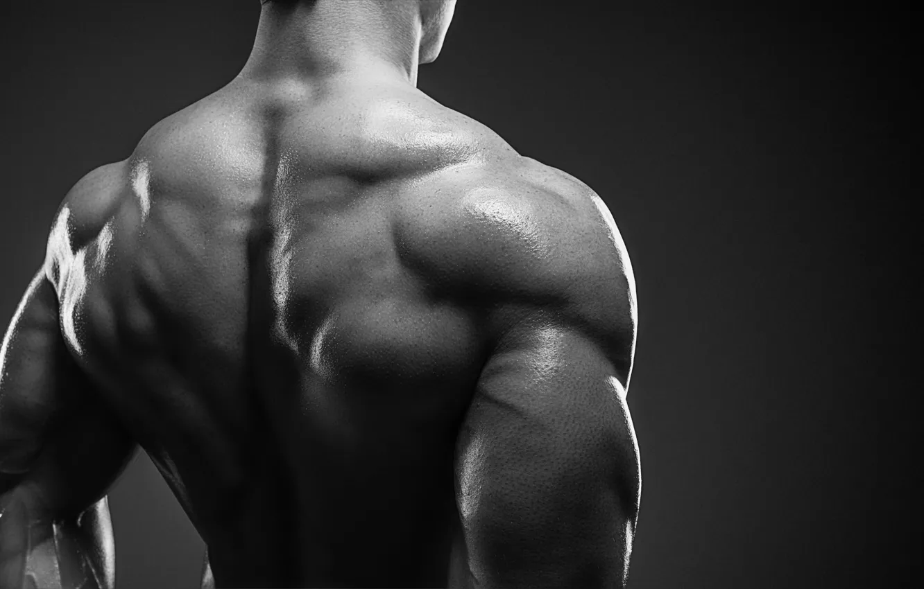 Фото обои bodybuilder, muscle mass, back muscles. 