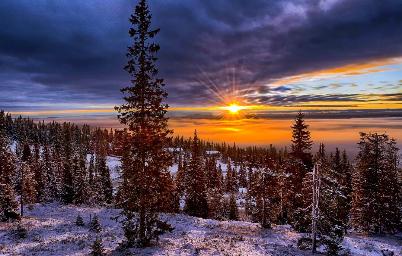 Фото обои зима, небо, солнце, снег, деревья, пейзаж, закат, горы, природа, холмы, елки, долина, Норвегия