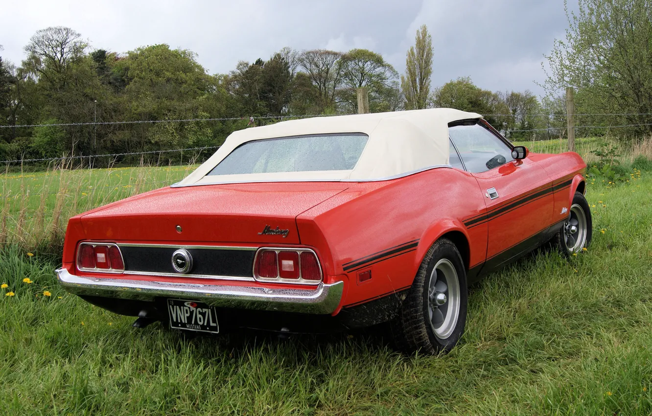 Фото обои Mustang, Ford, Форд, Мустанг, классика, Muscle car, 1973