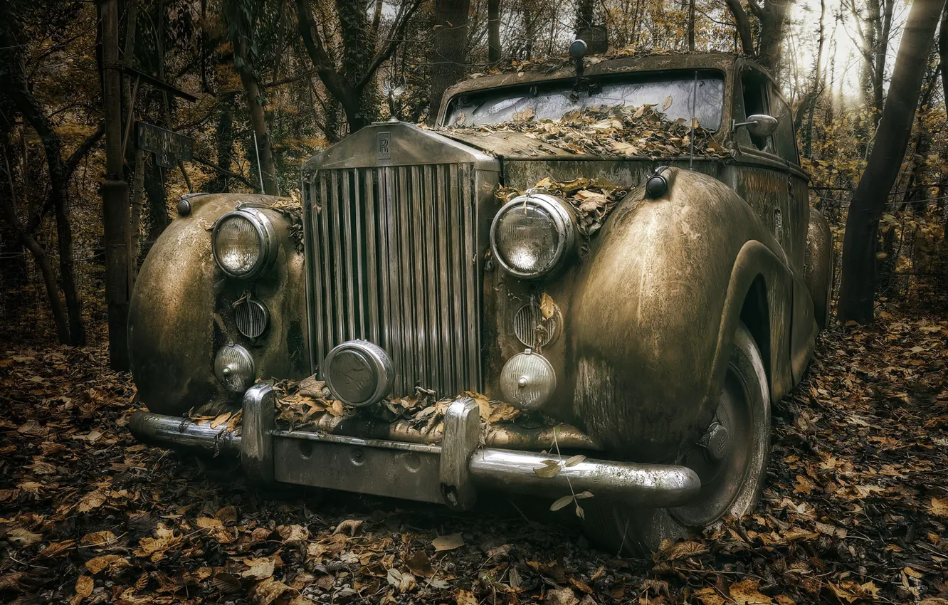 Фото обои машина, лес, Rolls Royce