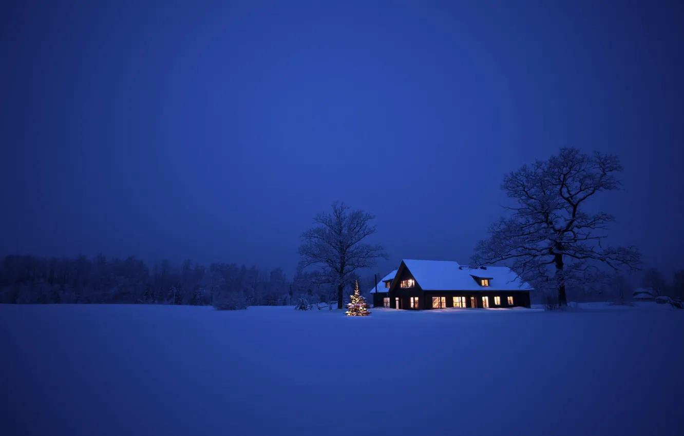 Фото обои зима, снег, деревья, пейзаж, ночь, природа, дом, Рождество, Christmas, New Year