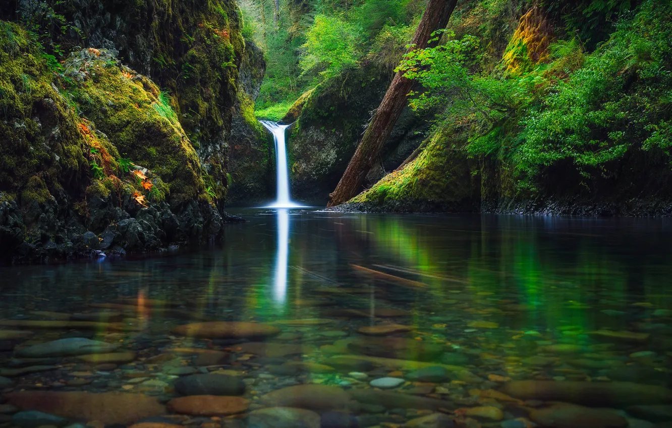 Фото обои осень, лес, река, водопад, Орегон, США, штат, Сентябрь