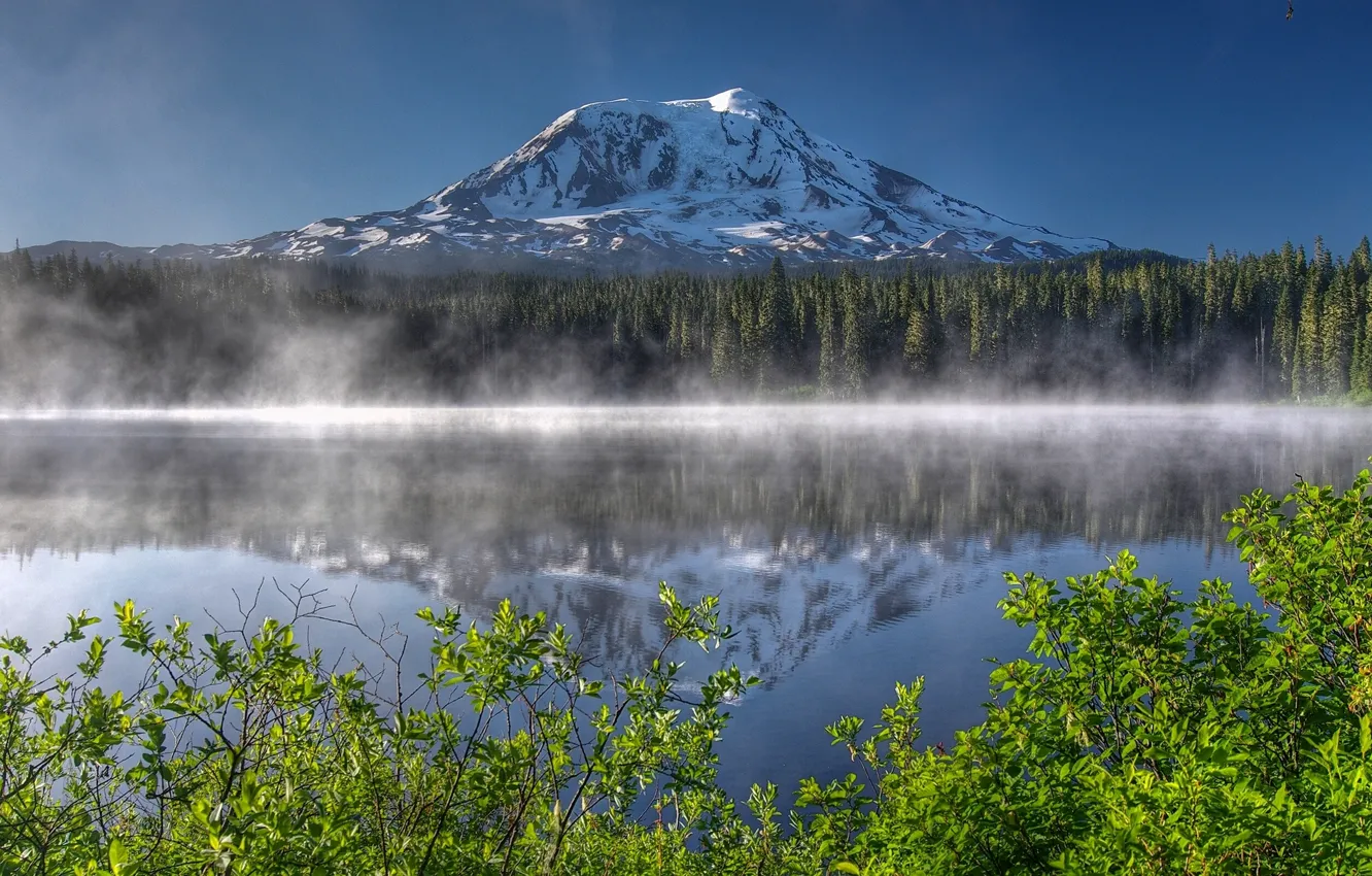 Фото обои лес, озеро, отражение, гора, утро, вулкан, Вашингтон, кусты, Washington, Каскадные горы, Mount Adams, гора Адамс, …