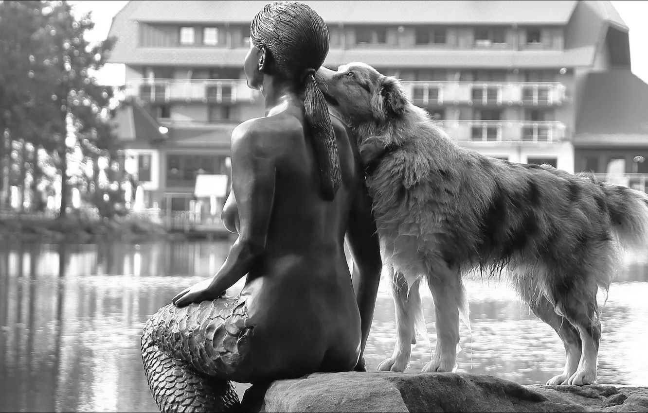 Фото обои dog, mermaid, sculpture, other, Oops