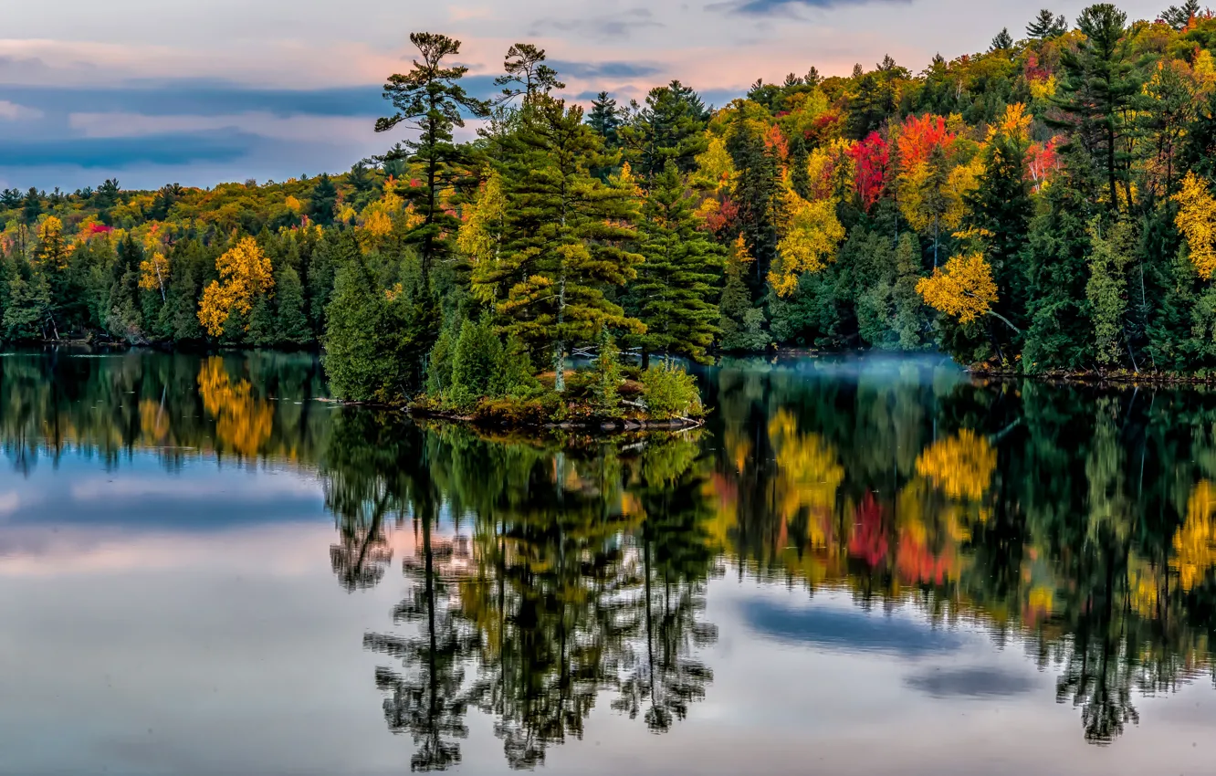 Фото обои осень, лес, деревья, озеро, парк, отражение, Канада, Онтарио, Canada, островок, Ontario, Garden of Eden