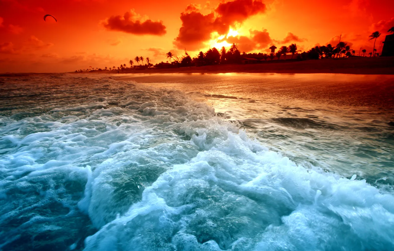 Фото обои волны, пляж, закат, пальмы, берег