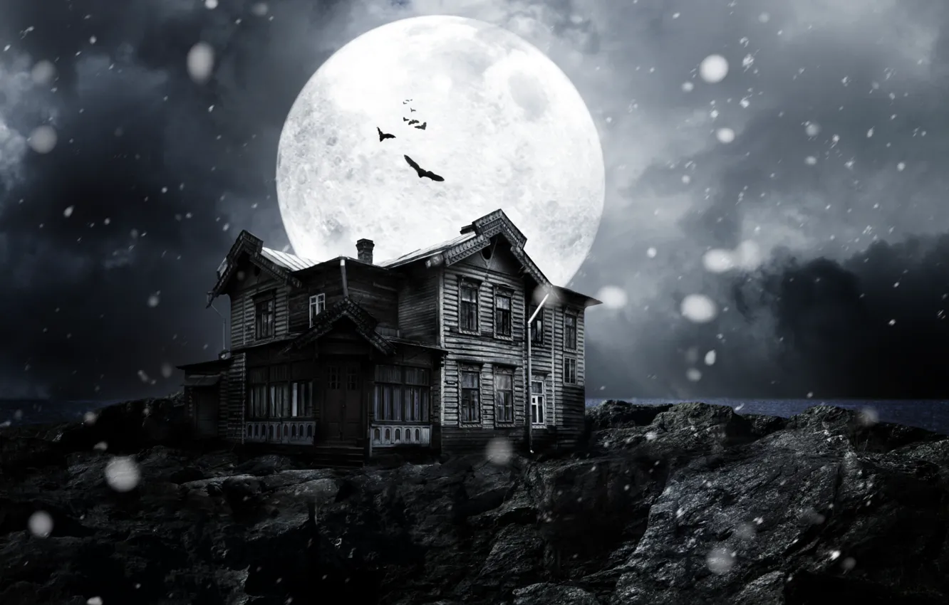 Фото обои снег, ночь, луна, темно, dark, moon, ужас, horror, лунный свет, летучие мыши, night, snow, полночь, …