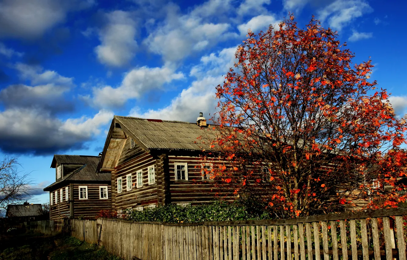 Фото обои осень, яркие краски, избы, русский север, архангельская деревня