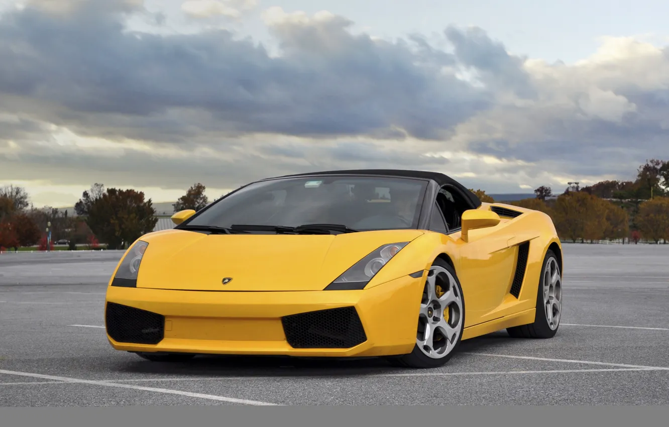 Фото обои 2008, Lamborghini, Gallardo, Spyder