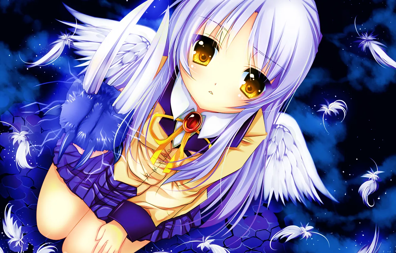 Фото обои девушка, крылья, аниме, перья, арт, школьница, angel beats!, ангельские ритмы, tachibana kanade