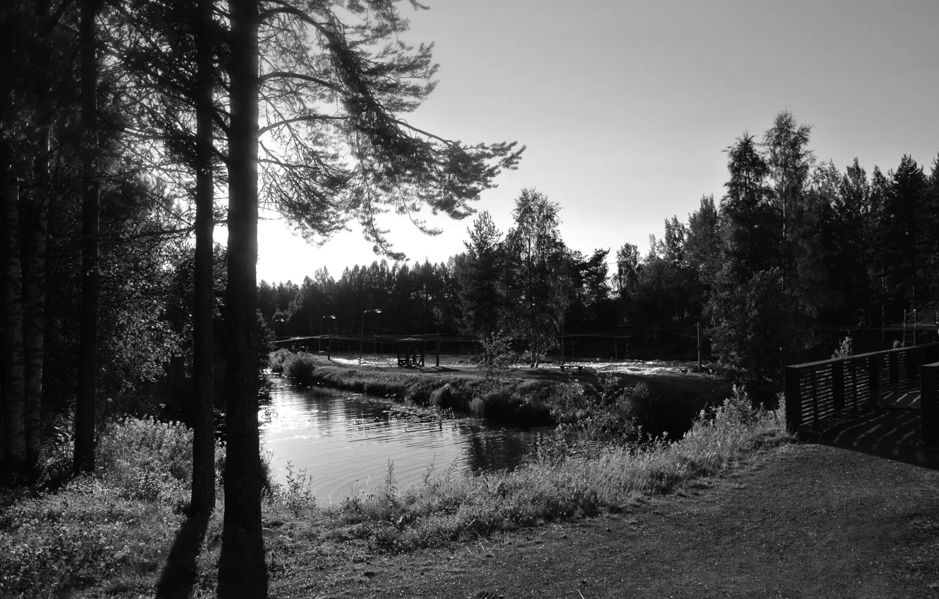 Фото обои лес, деревья, мост, пруд, река, белая, Черно, порог