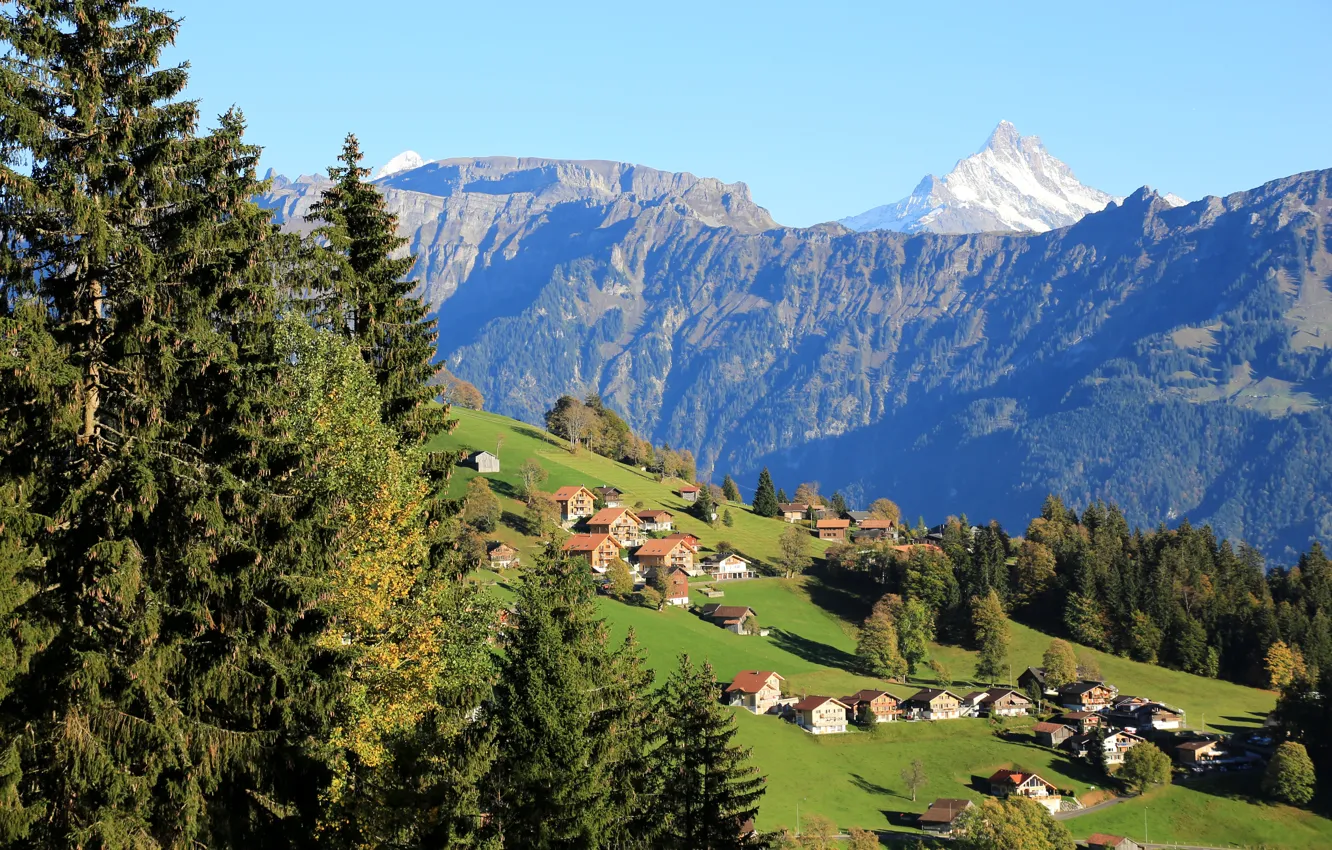 Фото обои деревья, горы, поля, дома, Швейцария, склон, Beatenberg