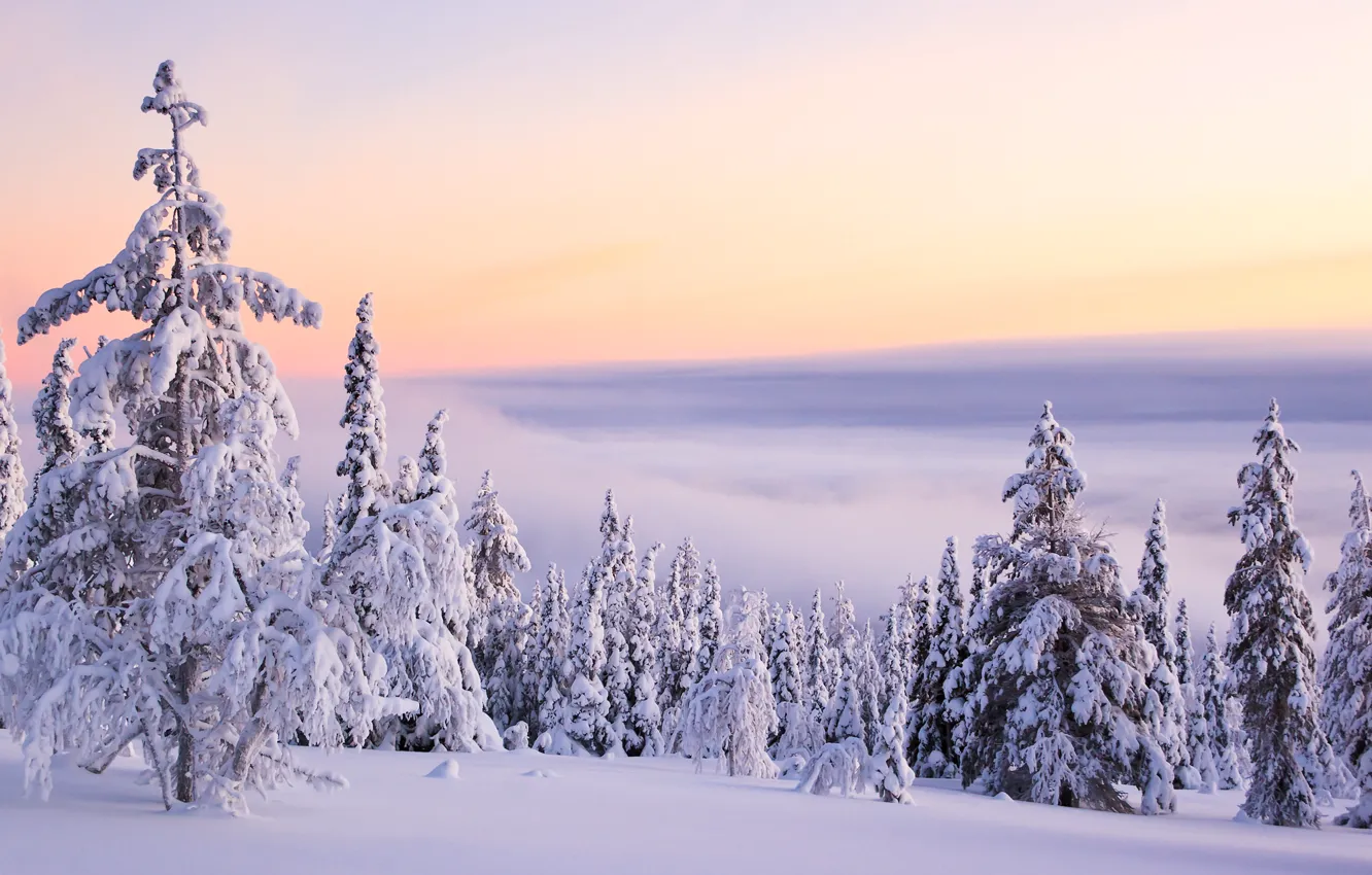 Фото обои зима, облака, снег, горы, природа, тишина, елки, мороз, день, белоснежно, пушисто