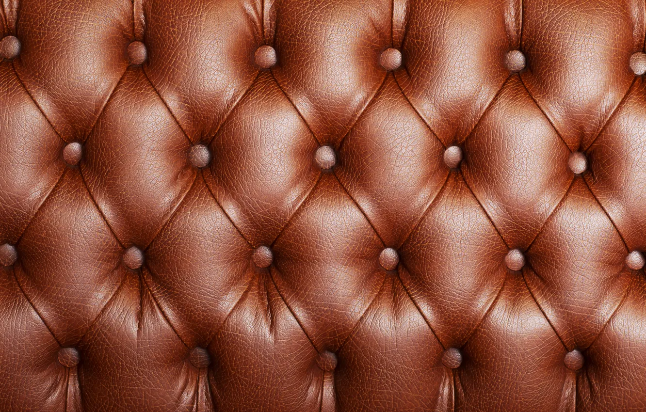 Skin Upholstery, Upholstered In Leather