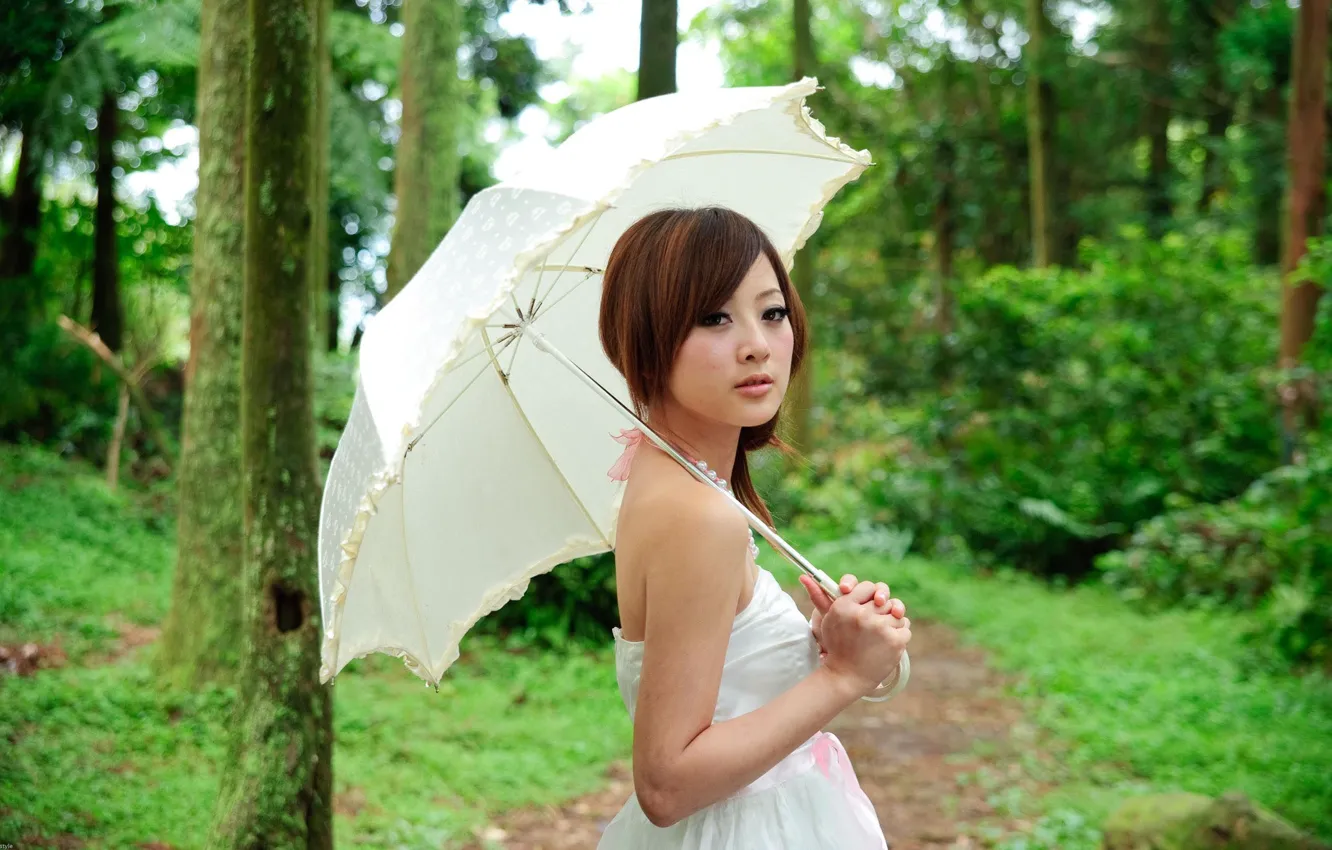Фото обои лес, девушка, дождь, зонт, азиатка
