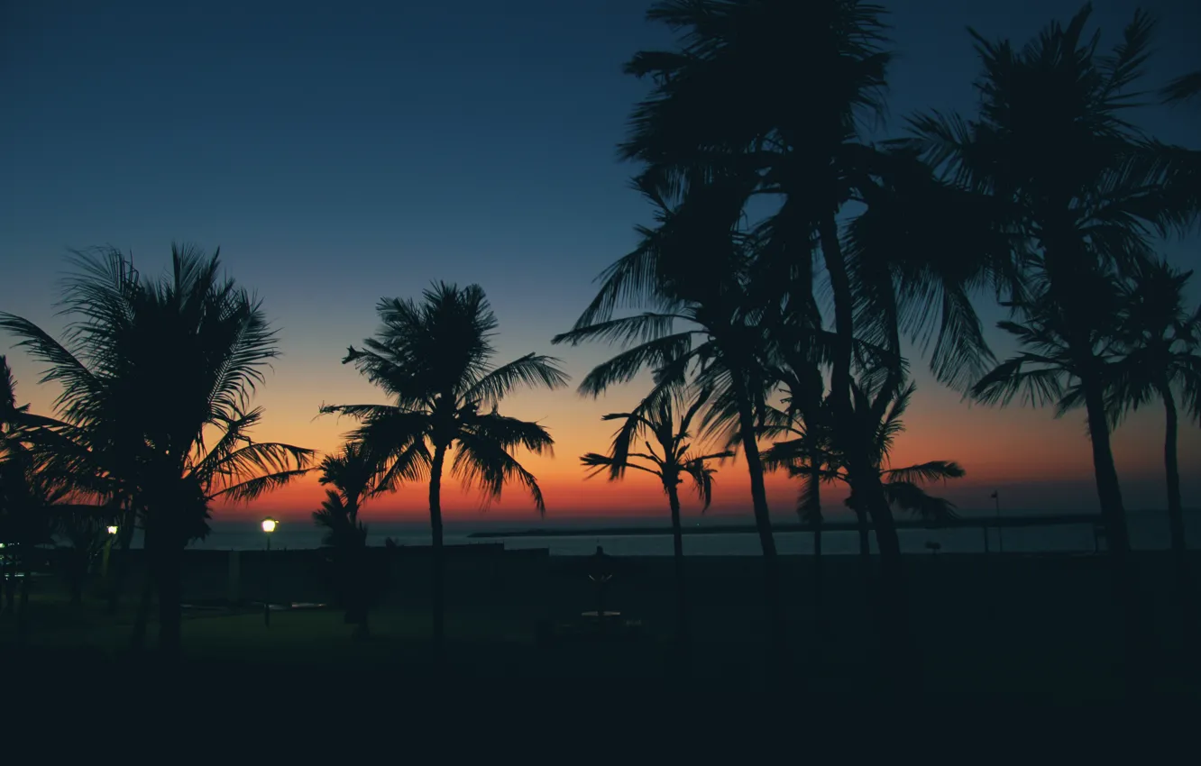 Фото обои пляж, закат, пальмы