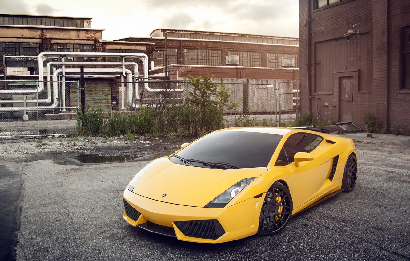 Фото обои жёлтый, Lamborghini, Gallardo, ламборджини, yellow, галлардо