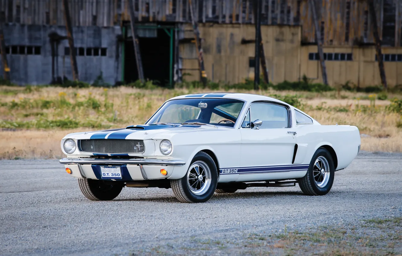 Фото обои Mustang, Ford, Shelby, Prototype, мустанг, форд, шелби, 1965, GT350