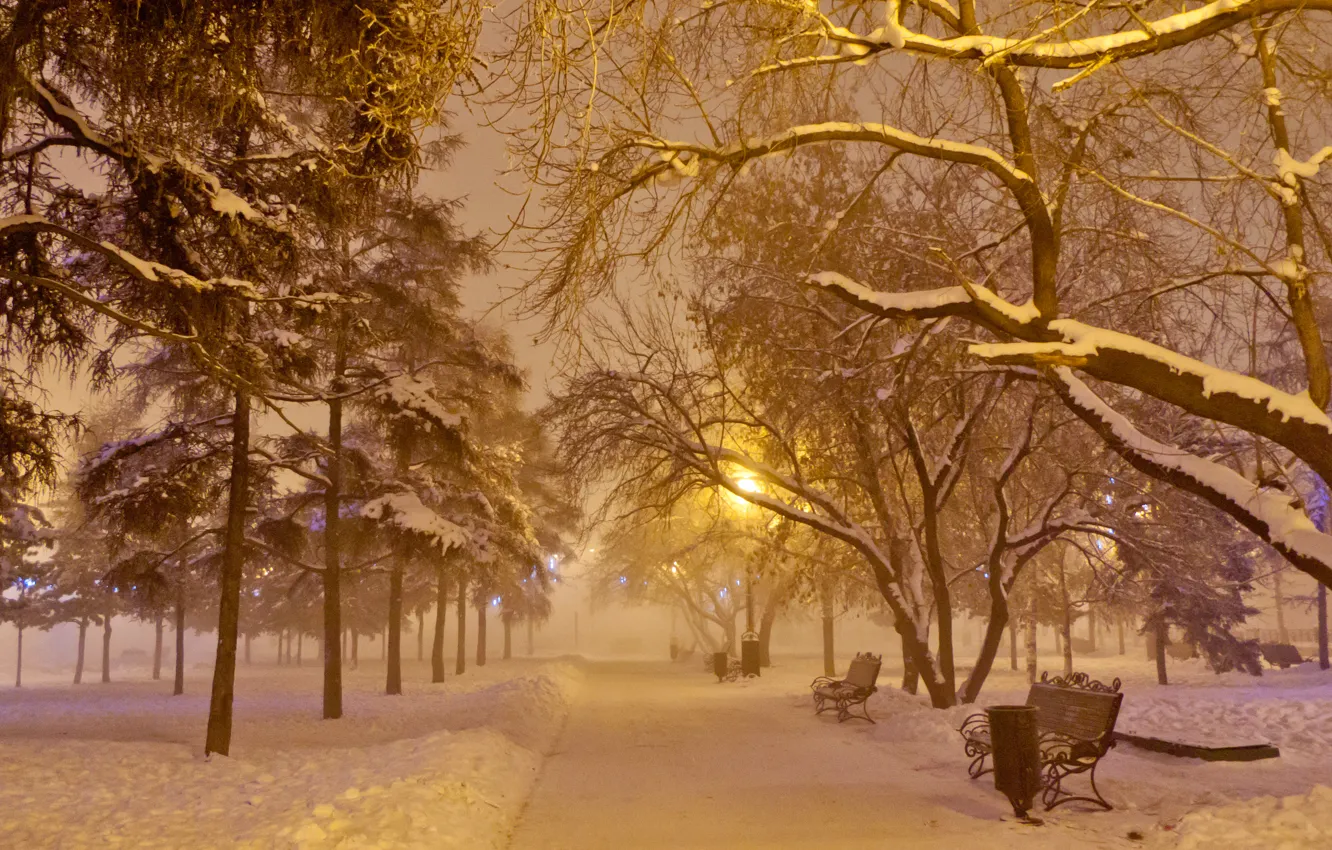 Фото обои иней, снег, ночь, туман, лавочка, фонарь, Новый год, гирлянда, аллея, сквер