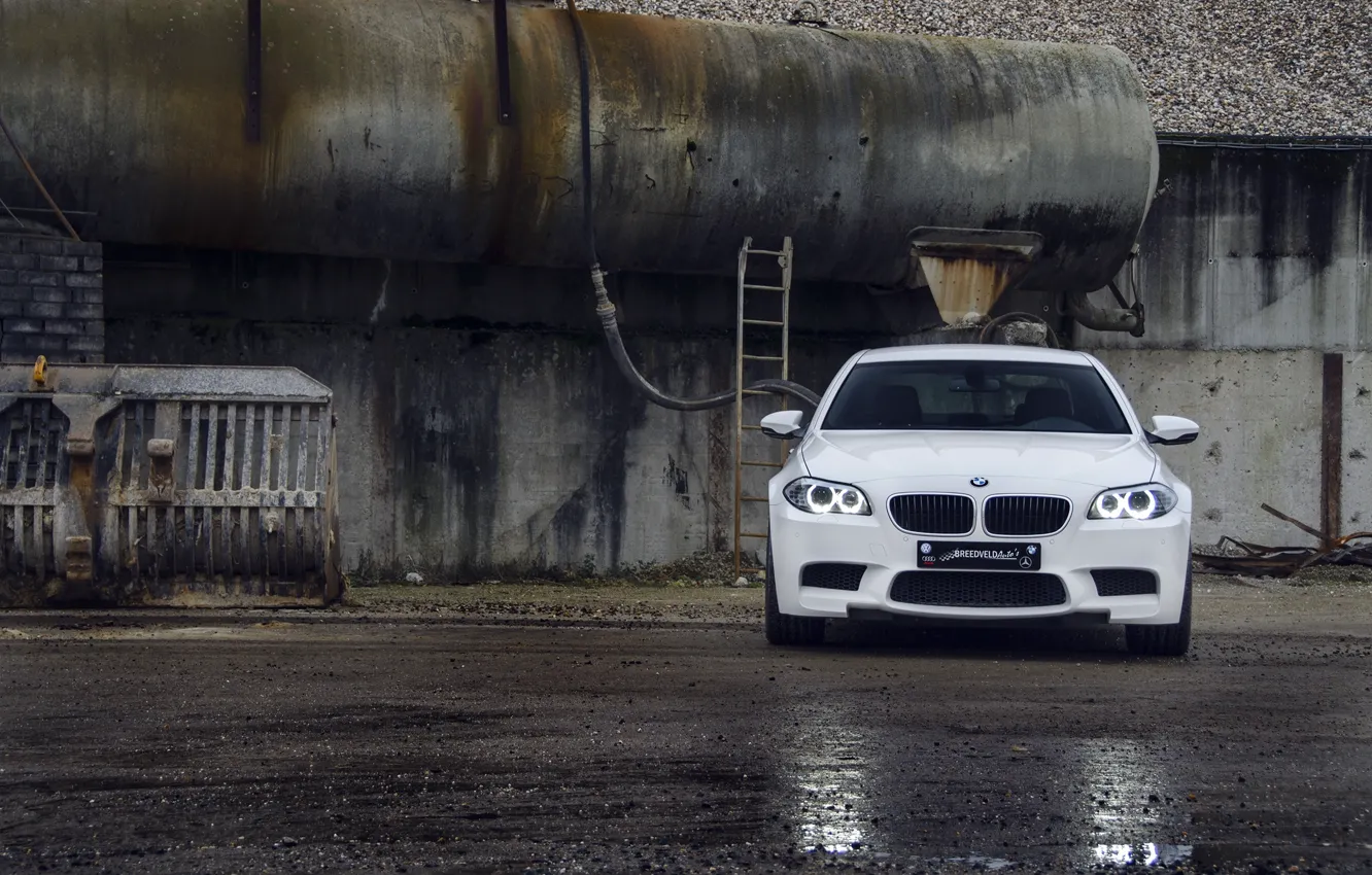 Фото обои белый, асфальт, мокрый, отражение, BMW, БМВ, white, передок, f10