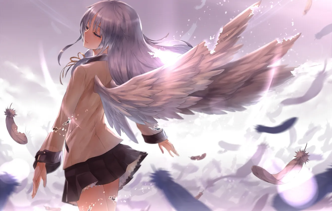 Фото обои девушка, свет, крылья, ангел, перья, Tachibana Kanade, Angel Beats