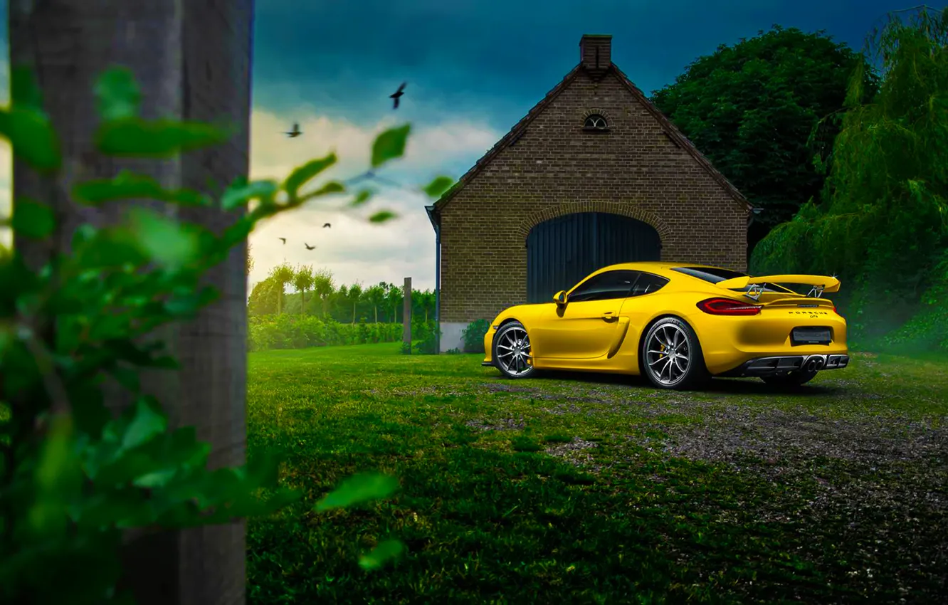 Фото обои Porsche, Cayman, Car, Nature, Color, Yellow, Summer, GT4, Rear