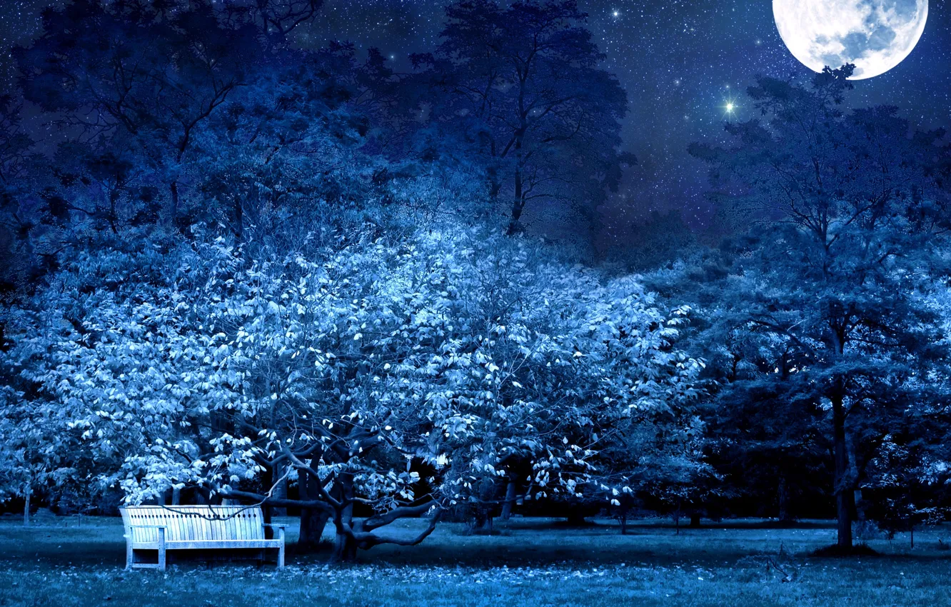 Фото обои moon, blue, night, bench