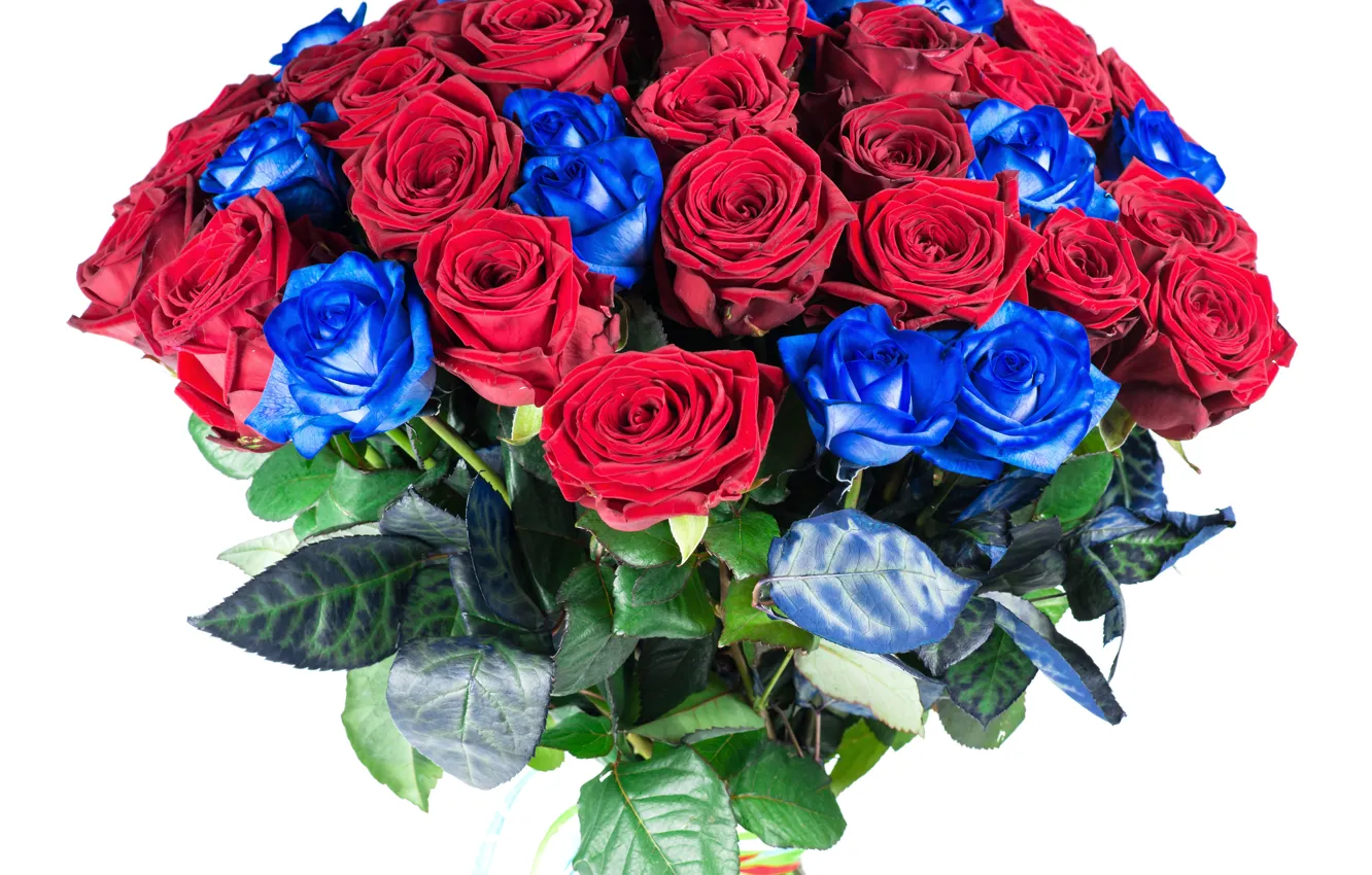 Фото обои розы, букет, красные, синие, Roses, Bouquets