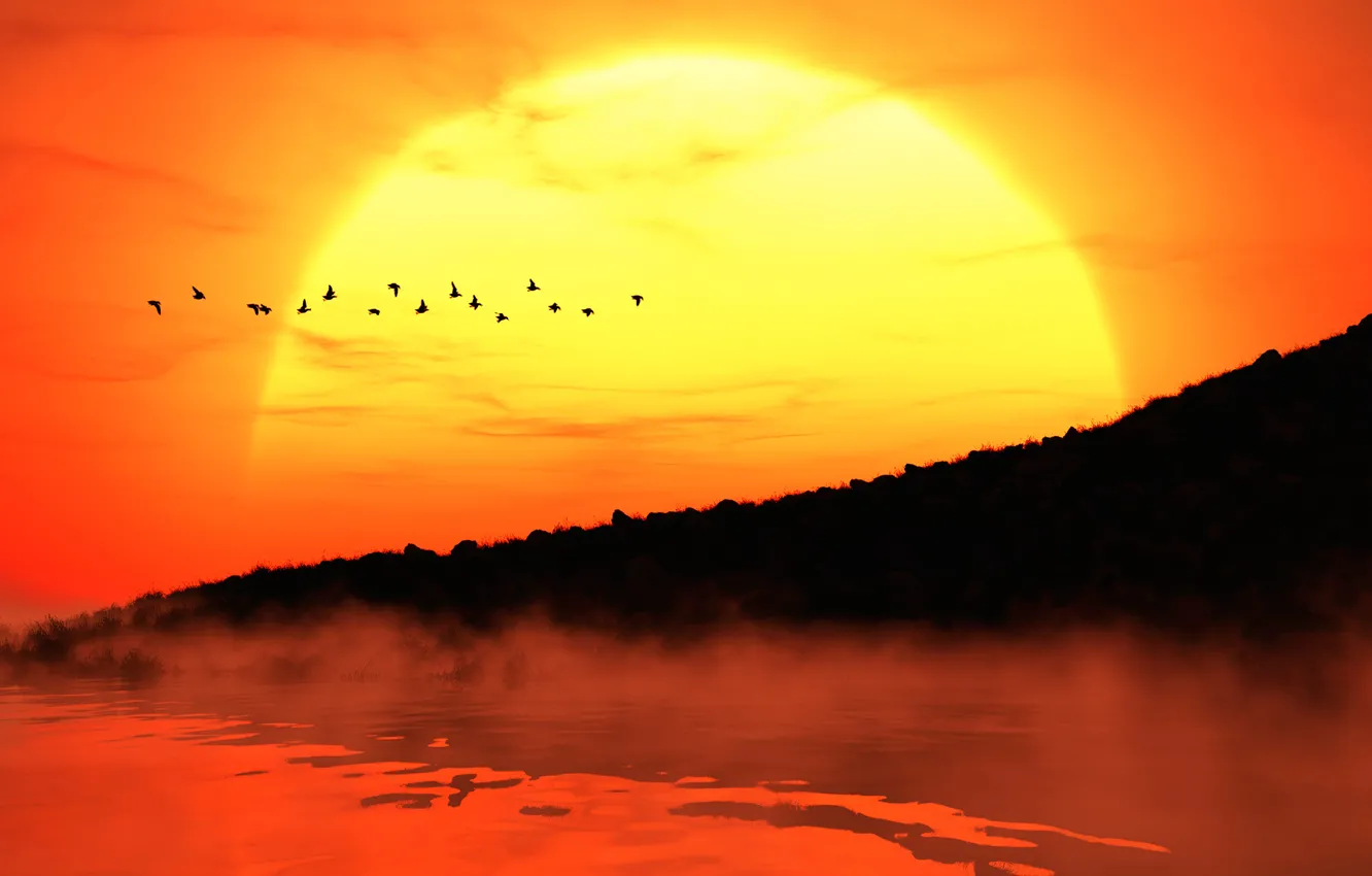 Фото обои солнце, закат, птицы, туман, берег, силуэты