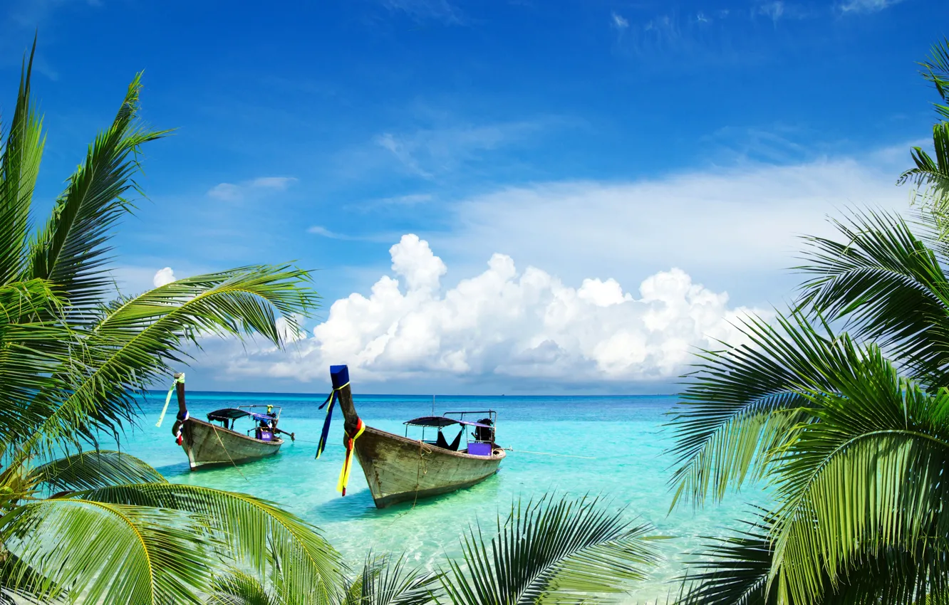 Фото обои море, листья, вода, пейзаж, пальмы, красота, лодки