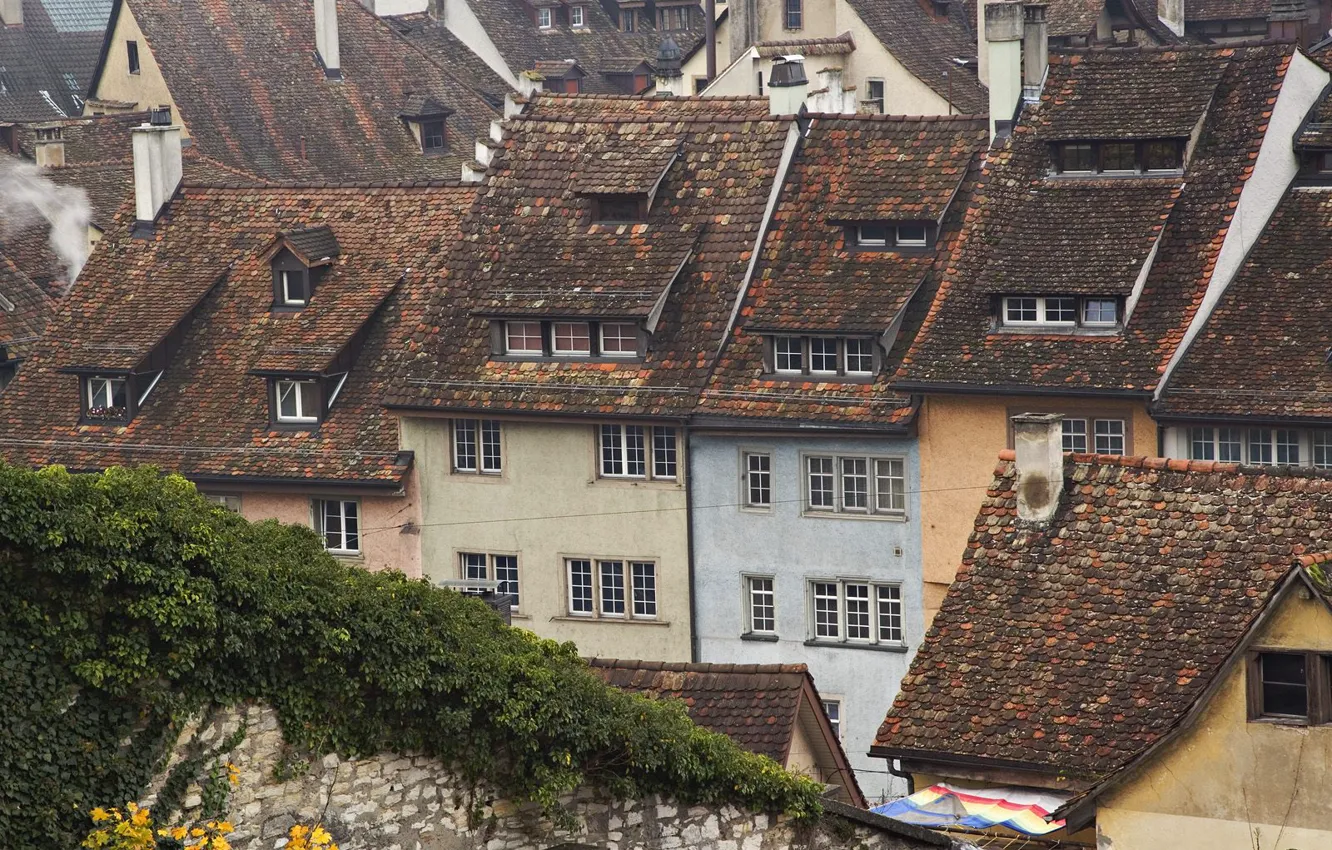 Фото обои крыши, Switzerland, Schaffhausen