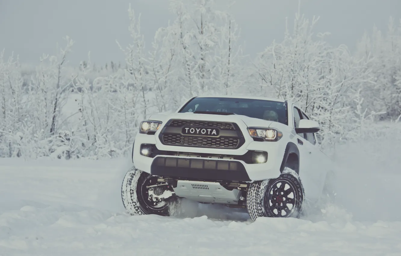Фото обои зима, снег, white, Toyota, пикап, snow, pickup, TRD, Tacoma