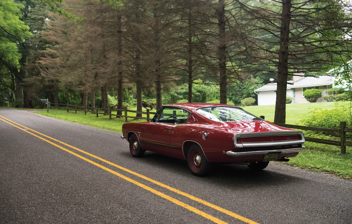 Фото обои дорога, авто, деревья, road, muscle car, Fastback, Barracuda, Plymouth, 1968, маслкар, Formula S