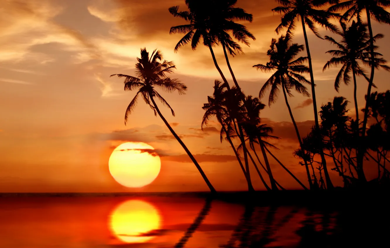 Фото обои море, пляж, солнце, закат, тропики, пальмы, beach, sea, sunset, p...