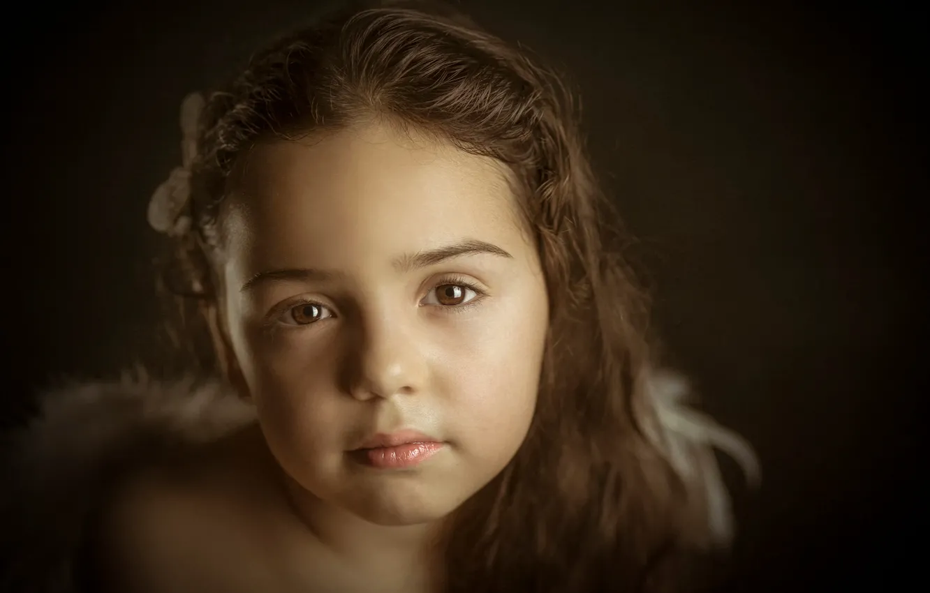 Фото обои взгляд, портрет, девочка, Daniela, Little Angels. 