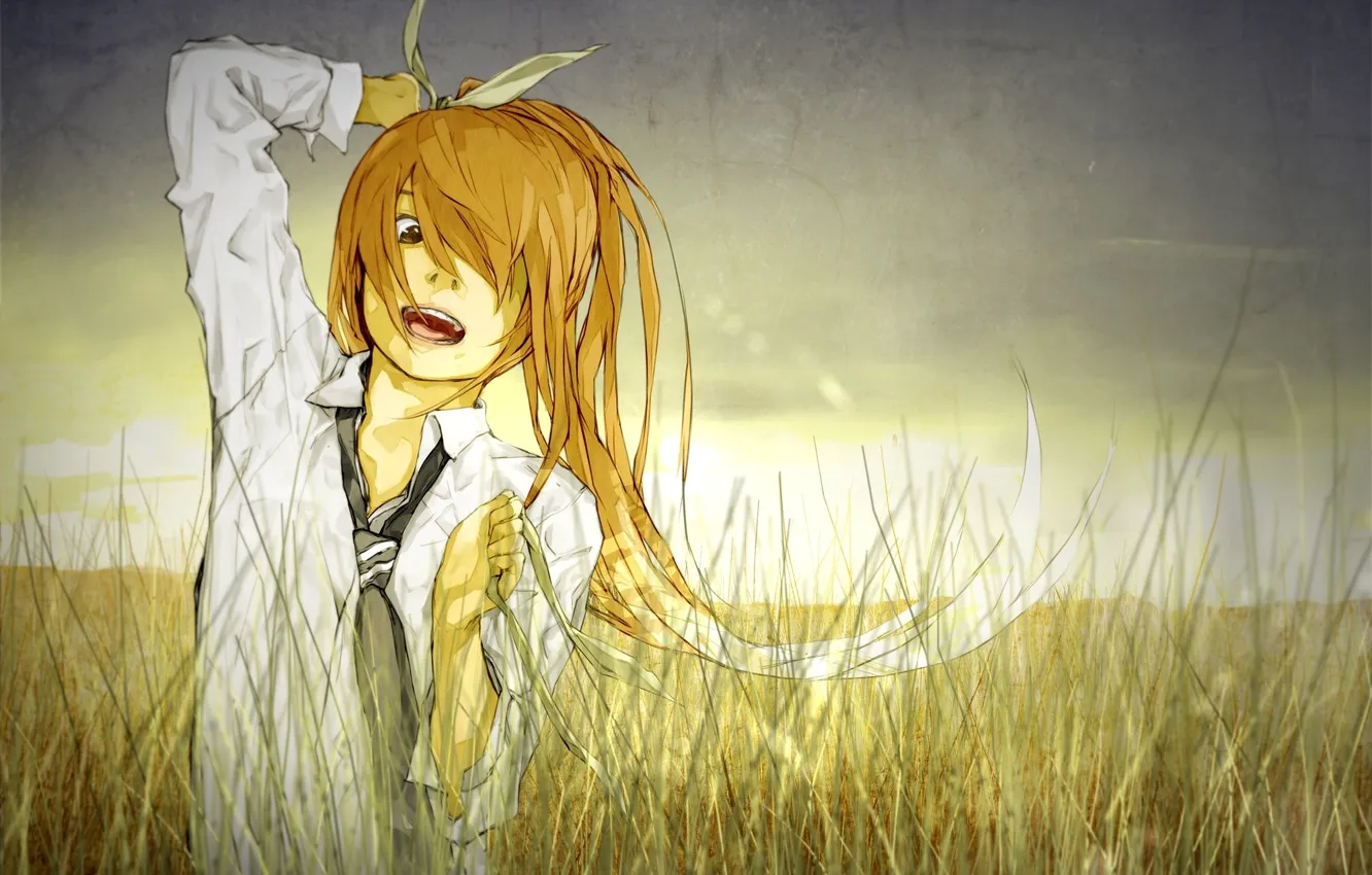 Фото обои поле, трава, руки, галстук, парень, vocaloid, вокалоид, челка, серое небо, белая рубашка, Ien Kagamine