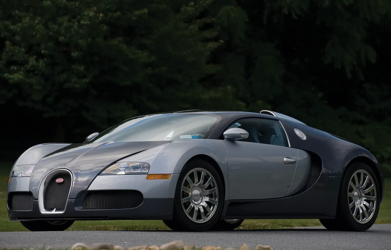 Фото обои veyron, bugatti, gray