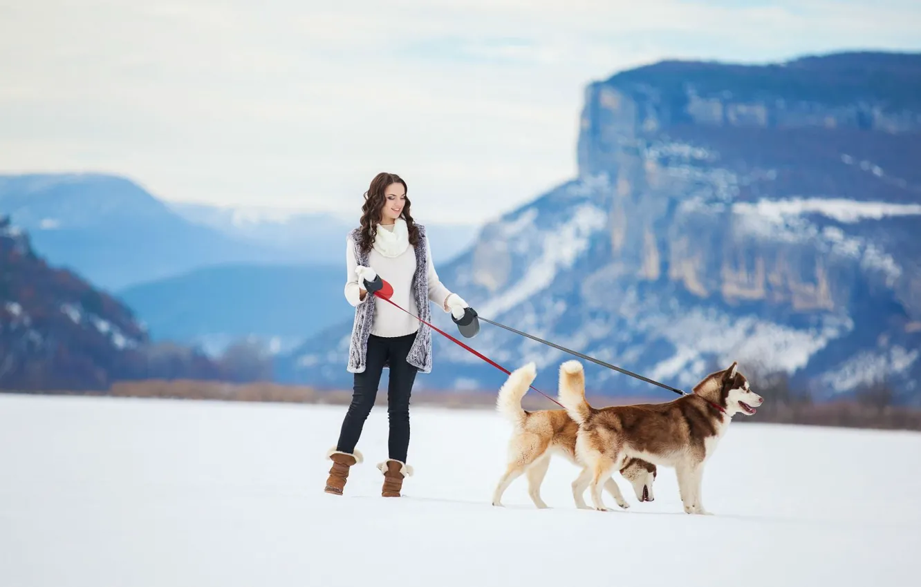 Фото обои Girl, winter, snow, dogs, siberian husky