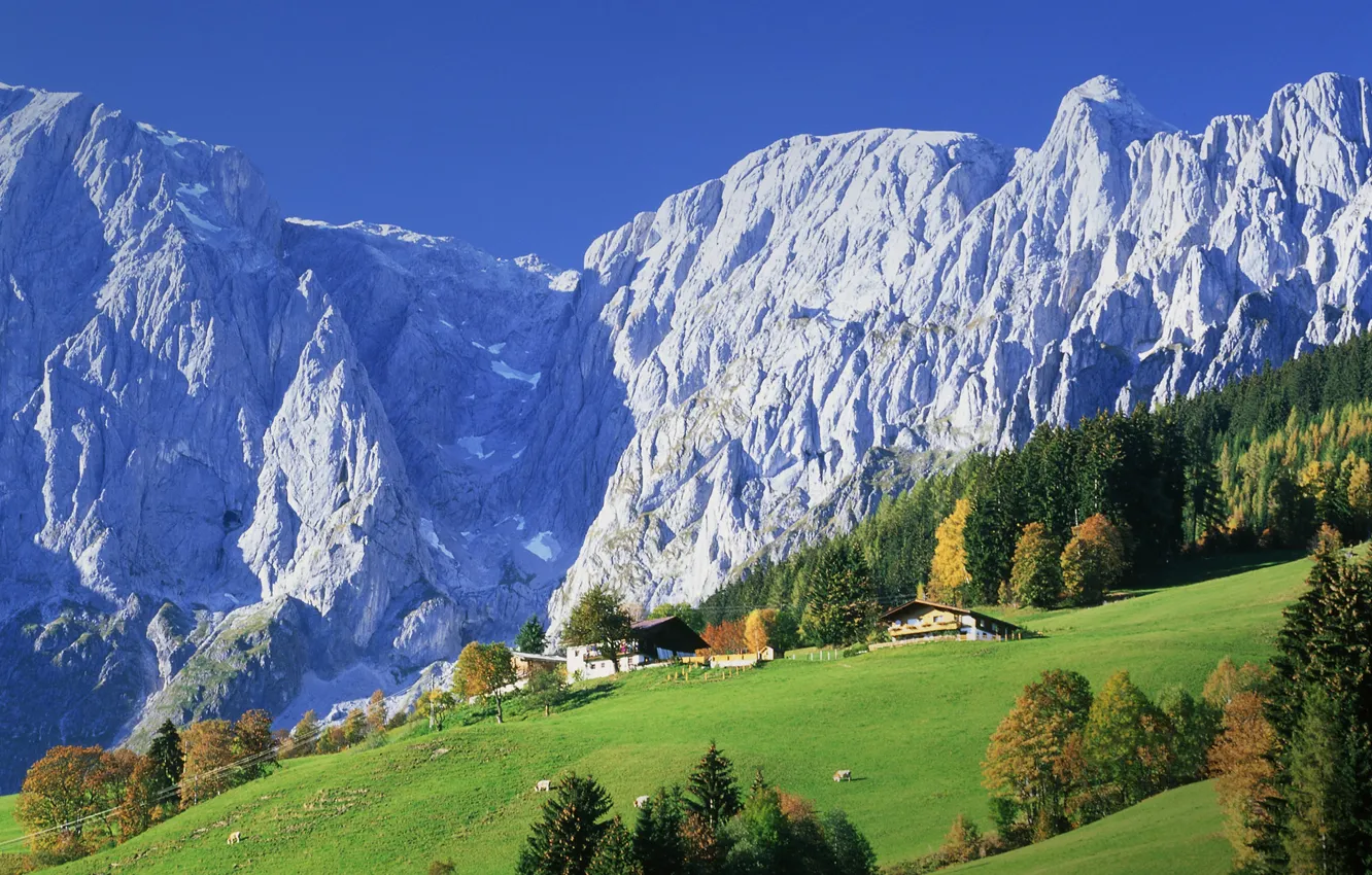Фото обои лес, горы, природа, дома, Австрия, деревня, луга