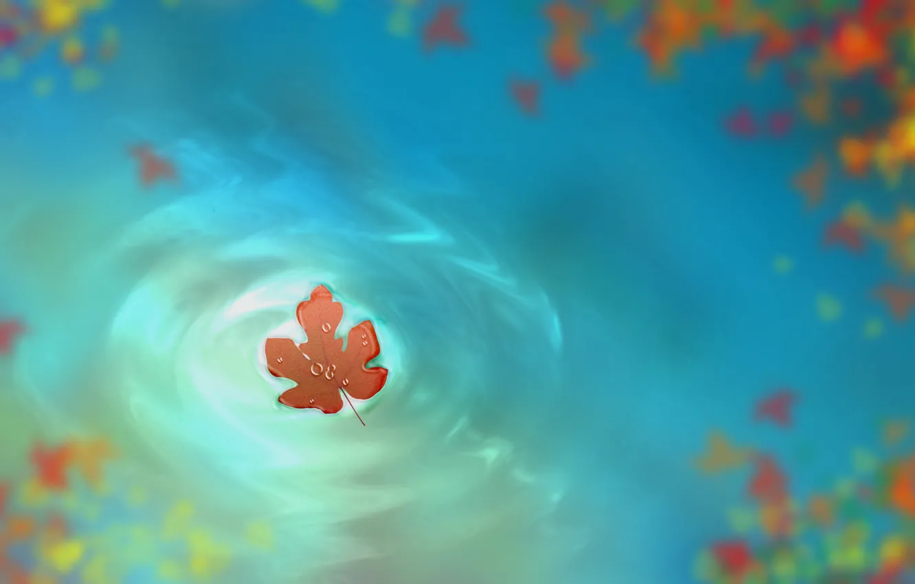 Фото обои осень, вода, капли, рисунок, листок, арт