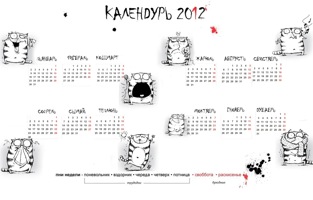 Фото обои коты, новый год, Календарь, календурь 2012