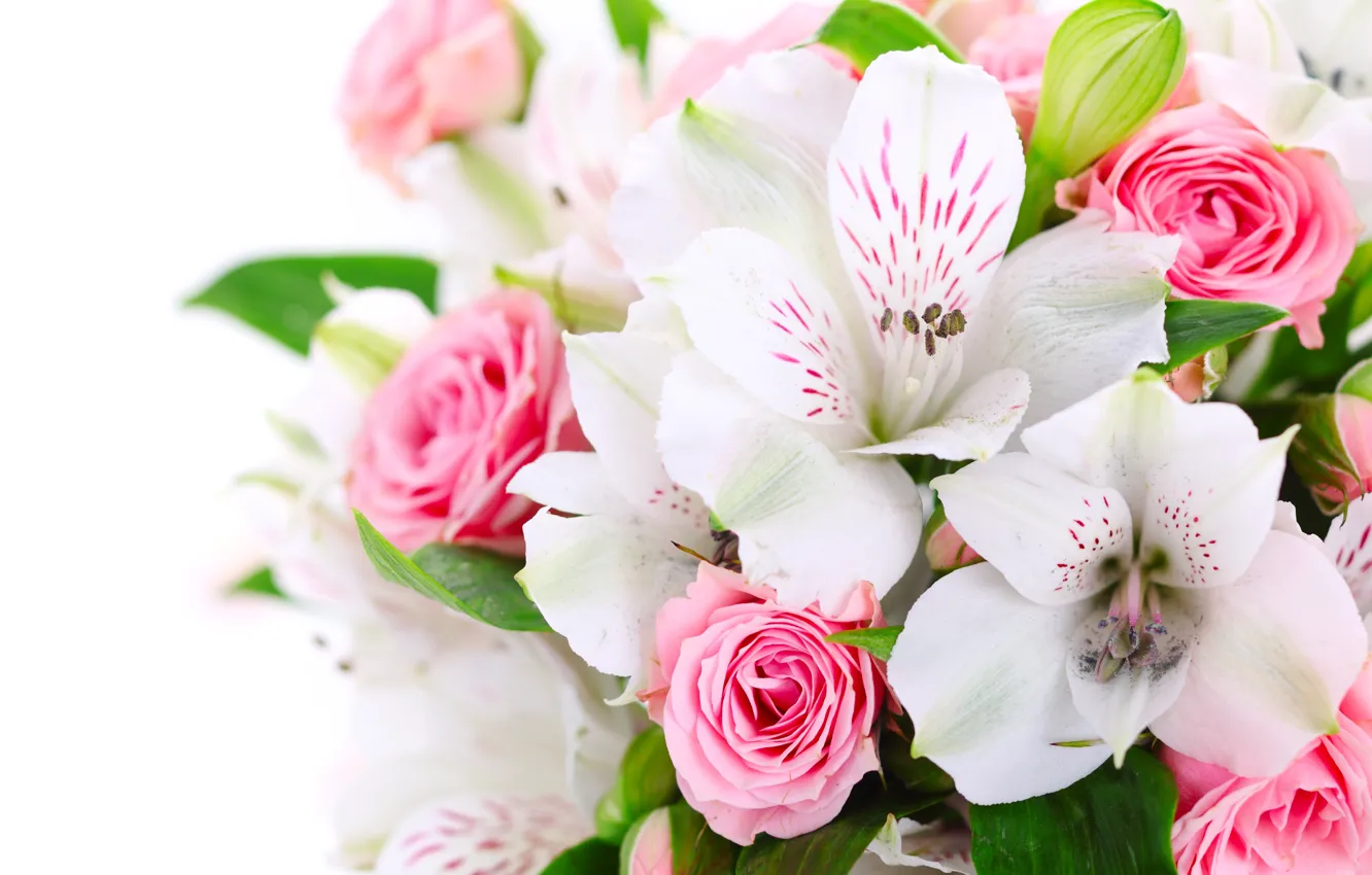 Фото обои цветы, розы, букет, розовые, белые, орхидеи