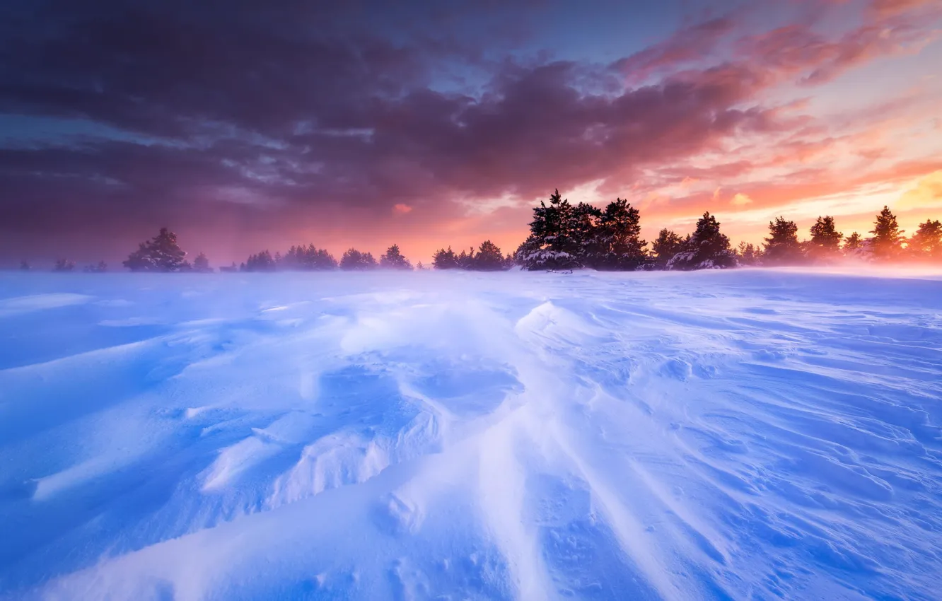 Фото обои зима, небо, снег, деревья, пейзаж, закат, Франция, равнина, метель, плато, Прованс