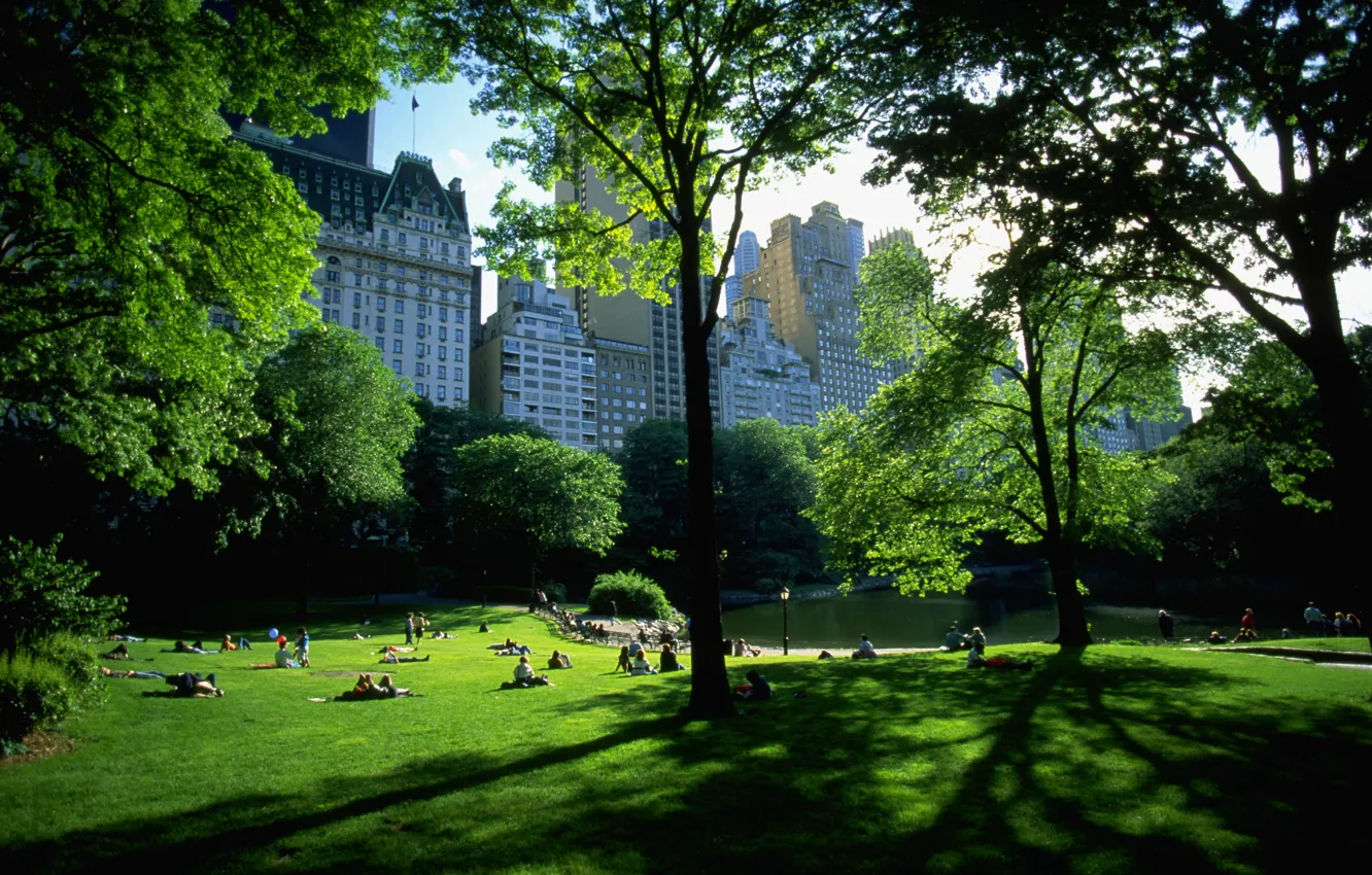 Фото обои парк, отдых, нью-йорк