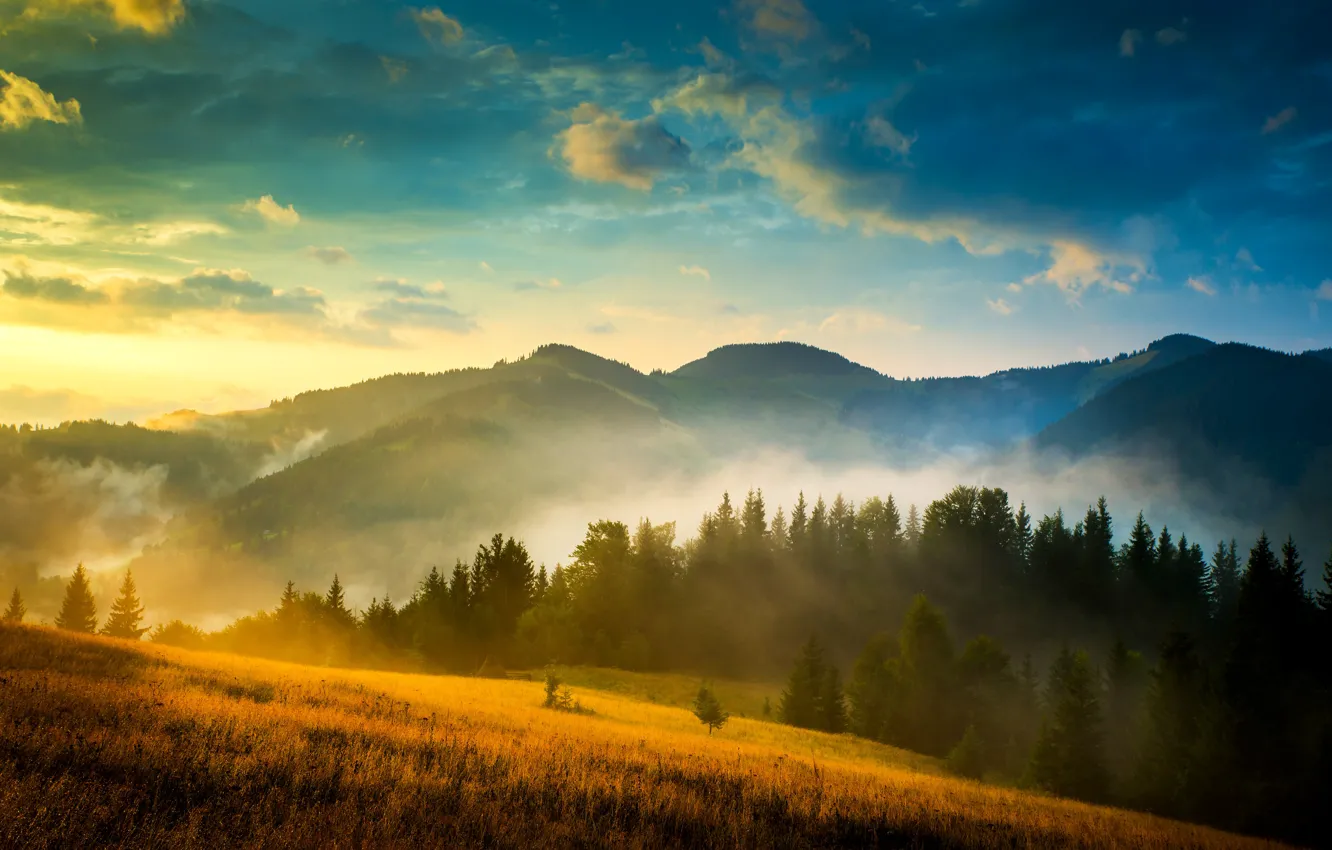 Фото обои небо, облака, горы, туман, поля, Украина, леса, Карпаты