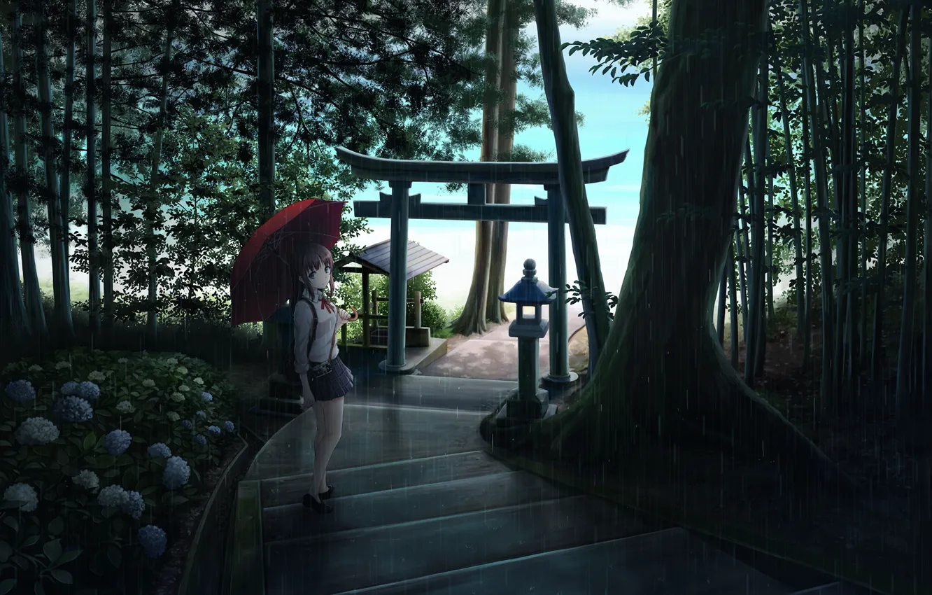 Фото обои девушка, деревья, цветы, природа, дождь, зонт, аниме, арт, фотоаппарат, лестница, школьница, ume32ki