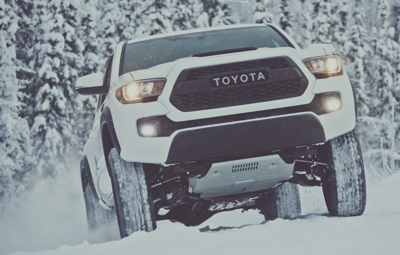 Фото обои зима, снег, white, Toyota, пикап, snow, pickup, TRD, Tacoma